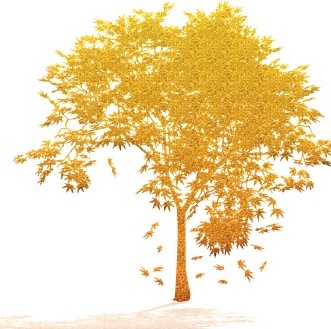 Baum goldbraun bearb. pixa